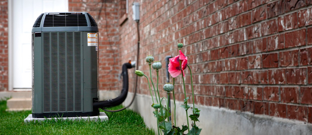 Air conditioner outside near flowers